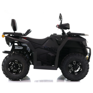 Asix Cyber RR 250ccm
