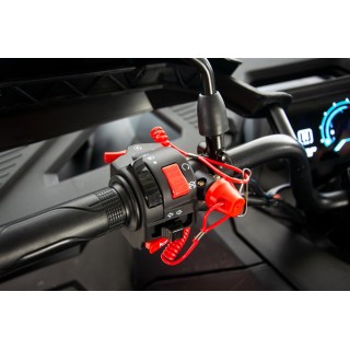 Asix Cyber RR 250ccm