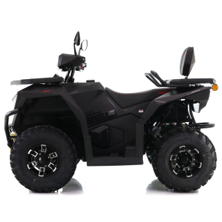 Asix Cyber RR 250ccm