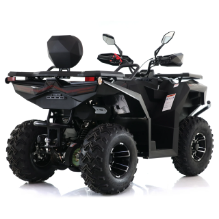 Asix Cyber RR 250ccm