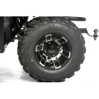 Asix Cyber RR 250ccm