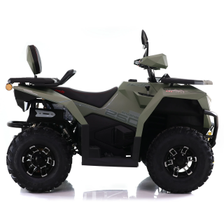 Asix Cyber 250RR
