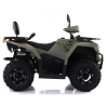 Asix Cyber 250RR