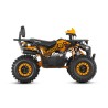 Barton Raptor 125