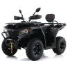 Asix Cyber RR 250ccm
