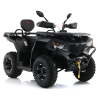 Asix Cyber RR 250ccm