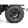 Asix Cyber RR 250ccm