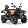 Asix Gladiator 200RR