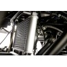 Asix Cyber RR 250ccm
