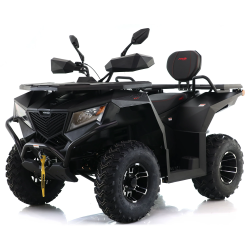 Asix Cyber RR 250ccm