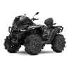 Segway AT10 WL MUD T3B